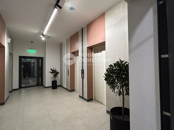 Объявление 221-11978