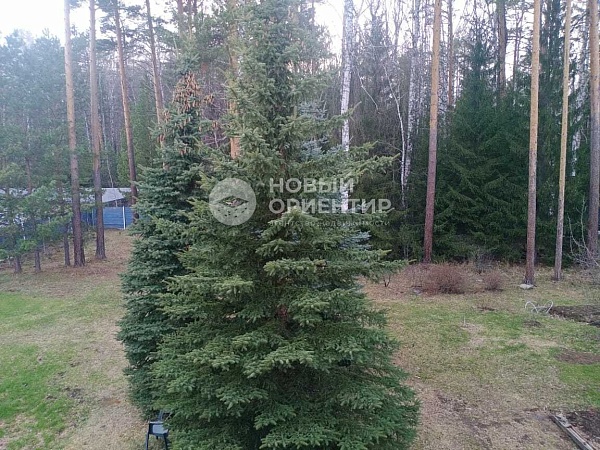 Объявление 221-11019