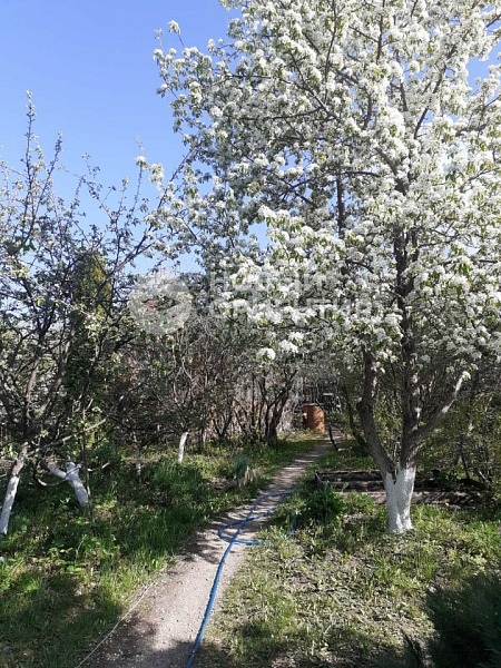 Объявление 221-11853