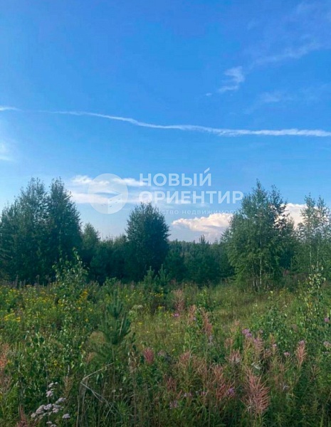 Объявление 221-10830