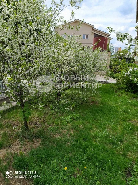 Объявление 221-10666