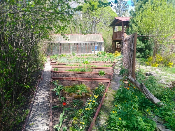 Объявление 221-10589