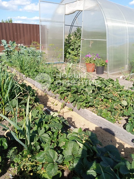 Объявление 221-11177