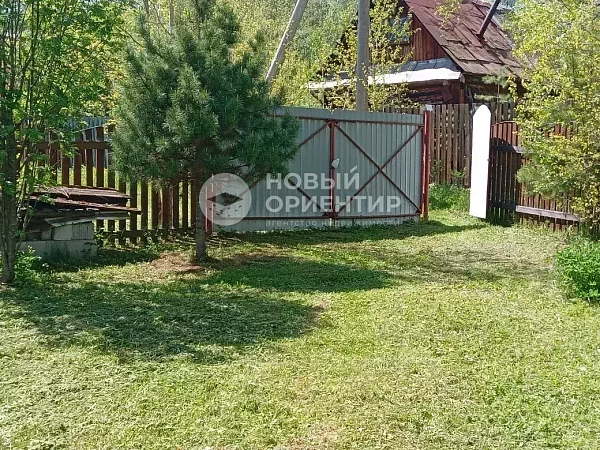 Объявление 221-12342