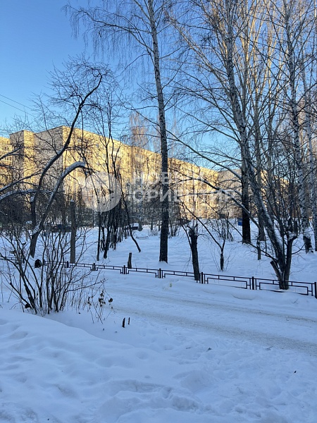 Объявление 221-12132