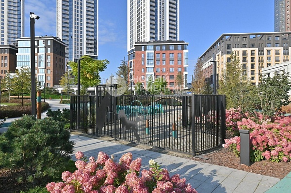 Объявление 221-12347