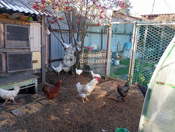 Объявление 221-11778