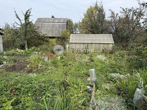 Объявление 221-11712