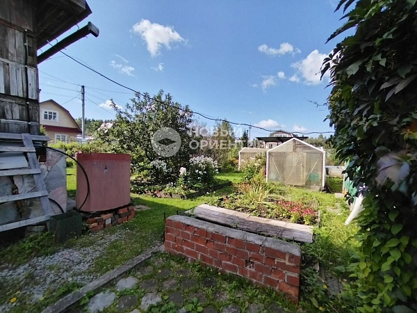 Объявление 221-12259