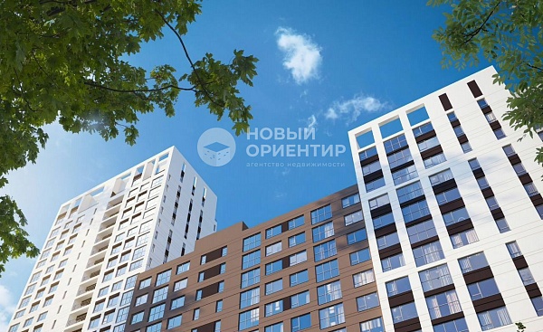 Объявление 221-11418