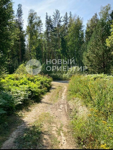 Объявление 221-10746