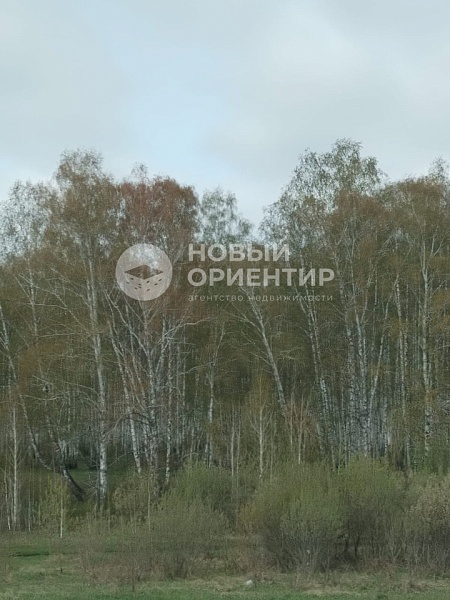 Объявление 221-11694