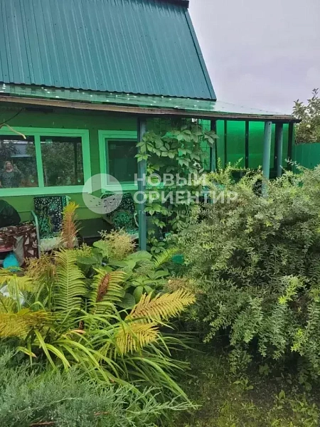 Объявление 221-12318