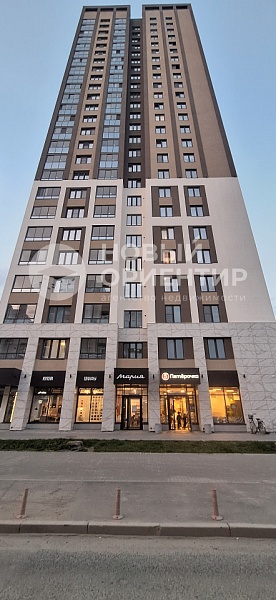 Объявление 221-11729