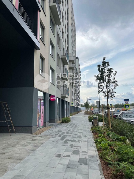 Объявление 221-10347