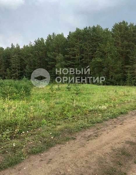 Объявление 221-10746