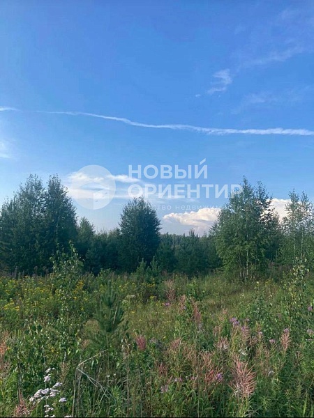 Объявление 221-10746