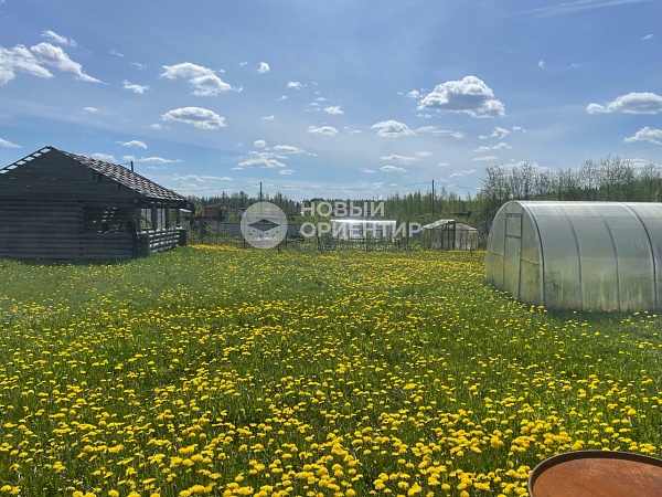 Объявление 221-10989