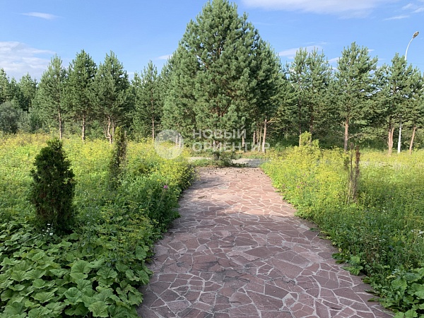 Объявление 221-9890