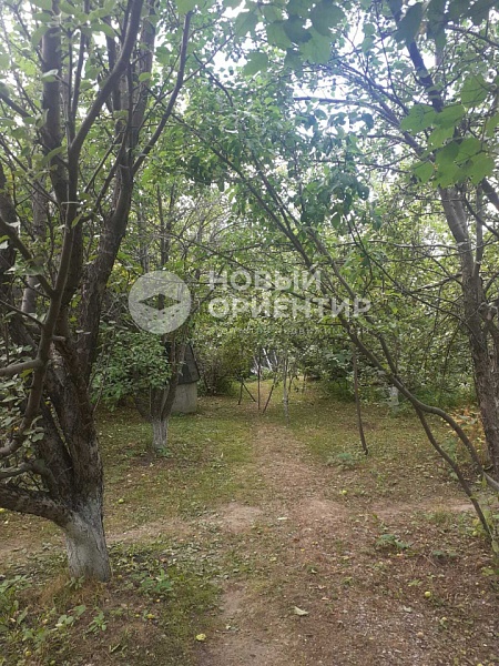 Объявление 221-11853