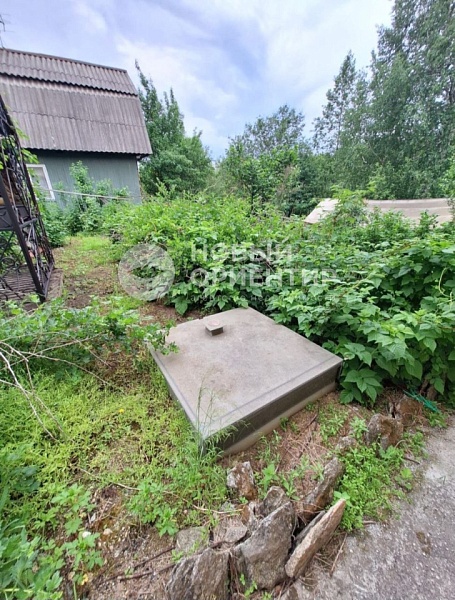 Объявление 221-12263