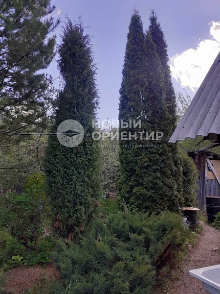 Объявление 221-11853