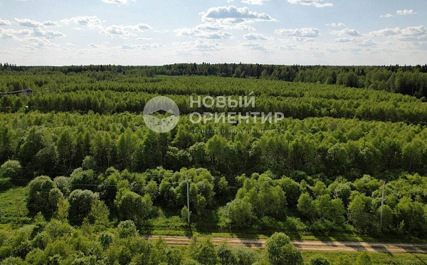 Объявление 221-12343