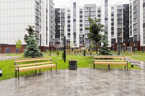 Объявление 221-11443