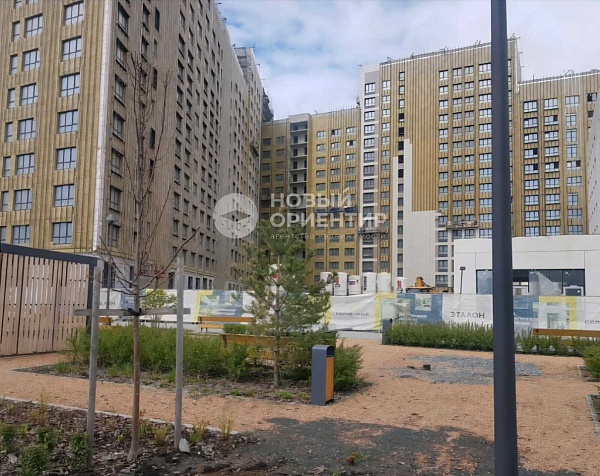 Объявление 221-11282