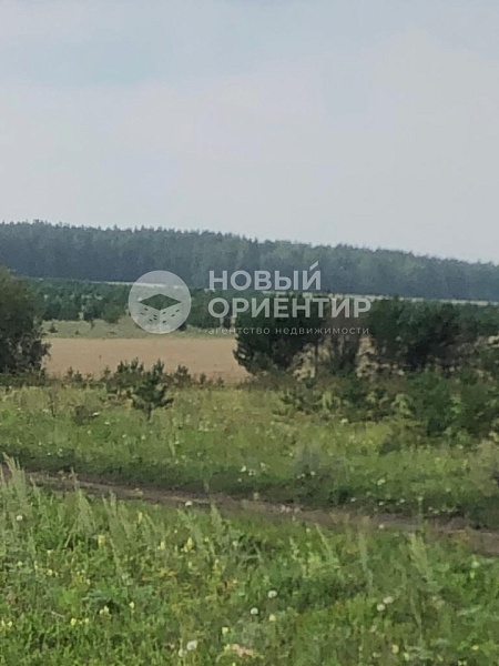 Объявление 221-10828