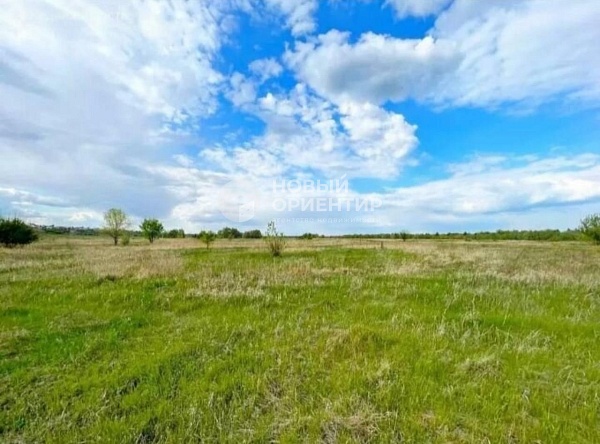 Объявление 221-11607