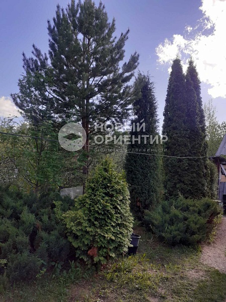 Объявление 221-11853