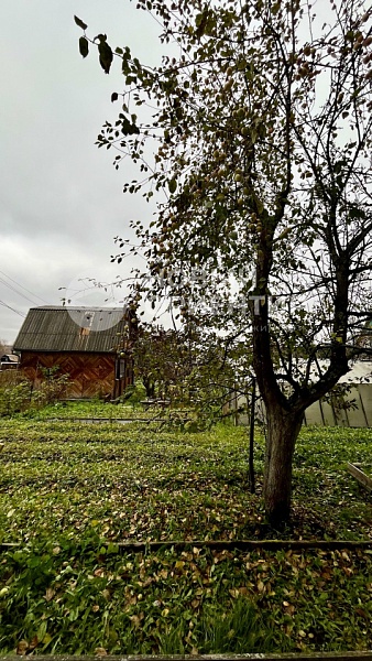 Объявление 221-11810