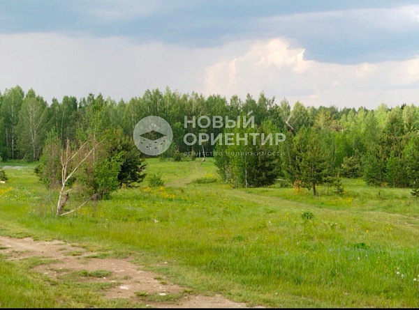 Объявление 221-10830