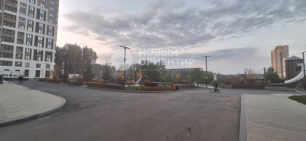 Объявление 221-11729