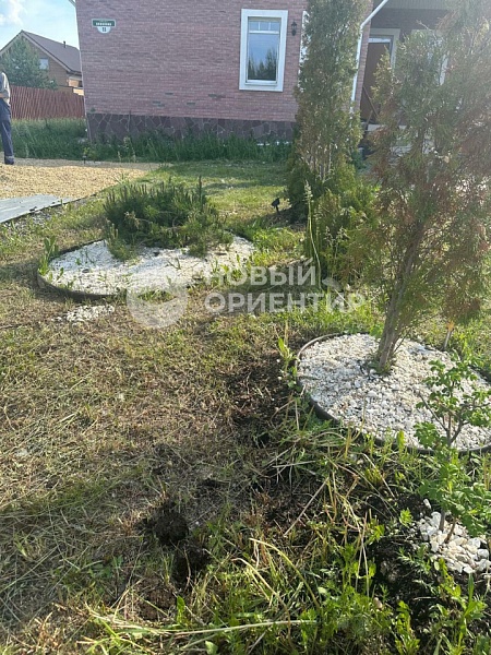 Объявление 221-9886