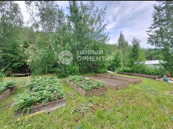 Объявление 221-12263