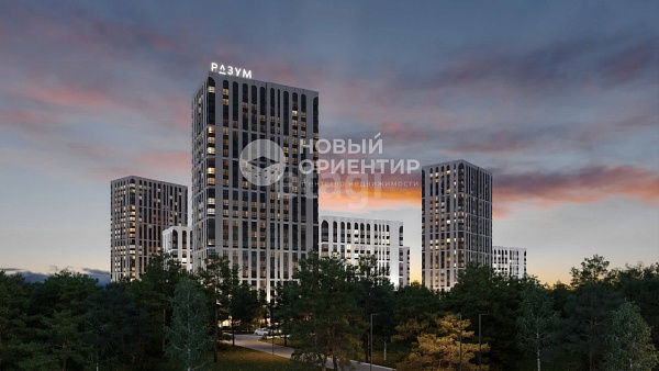 Объявление 221-11389