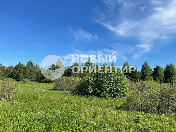 Объявление 221-10507