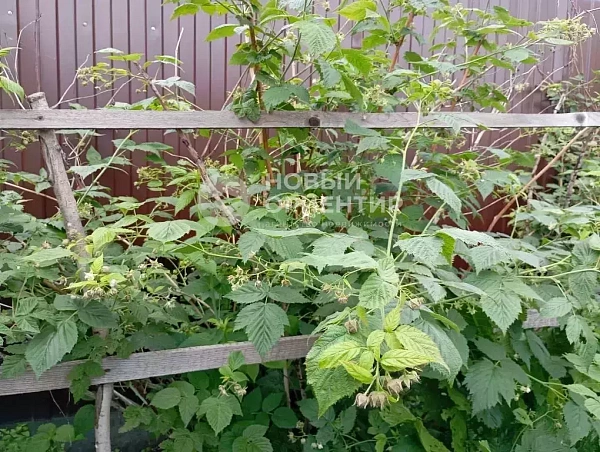 Объявление 221-12328