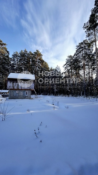 Объявление 221-12167