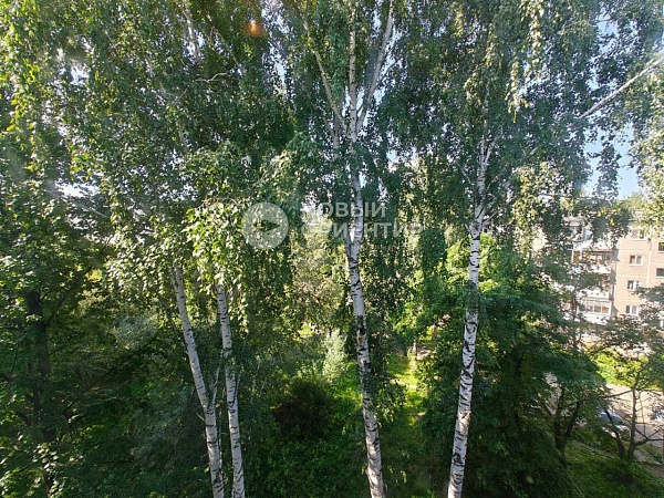 Объявление 221-11525