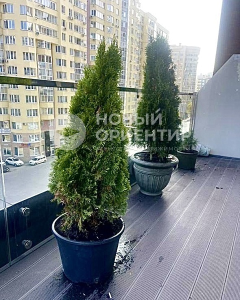 Объявление 221-8806