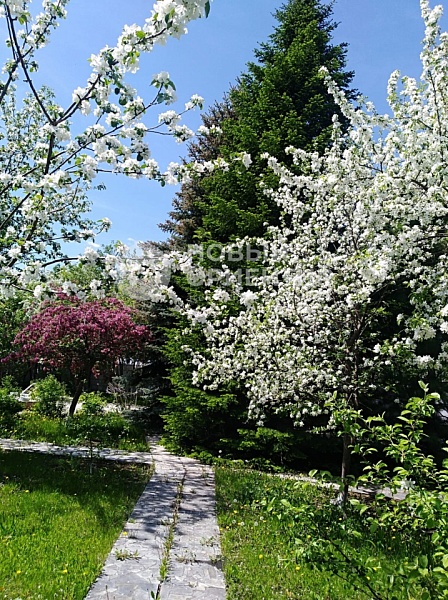 Объявление 221-11142