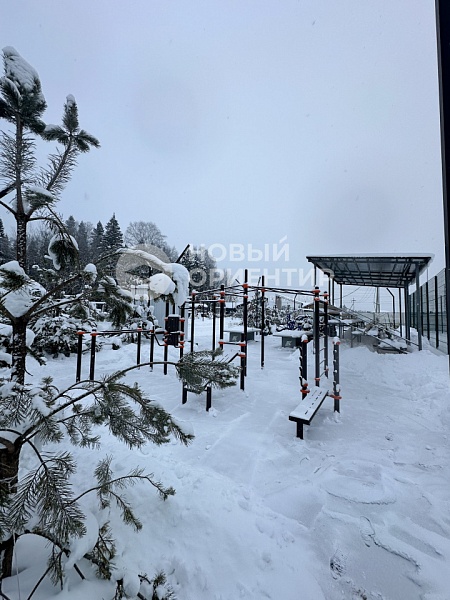 Объявление ==5DJsx3yhb12xx5O