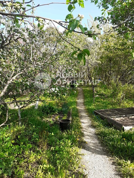 Объявление 221-11853