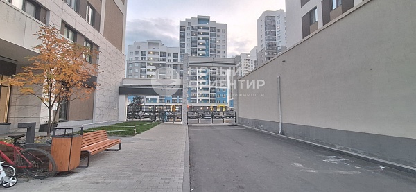 Объявление 221-11729