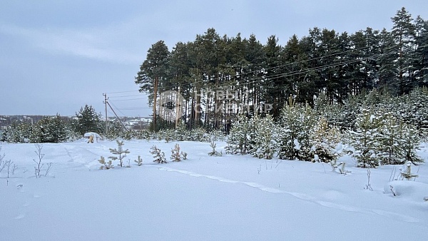 Объявление 221-12225