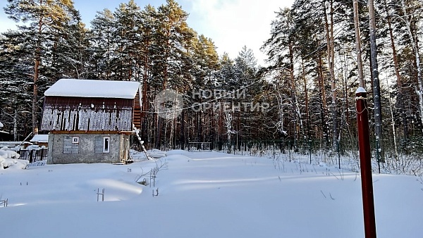 Объявление 221-12167