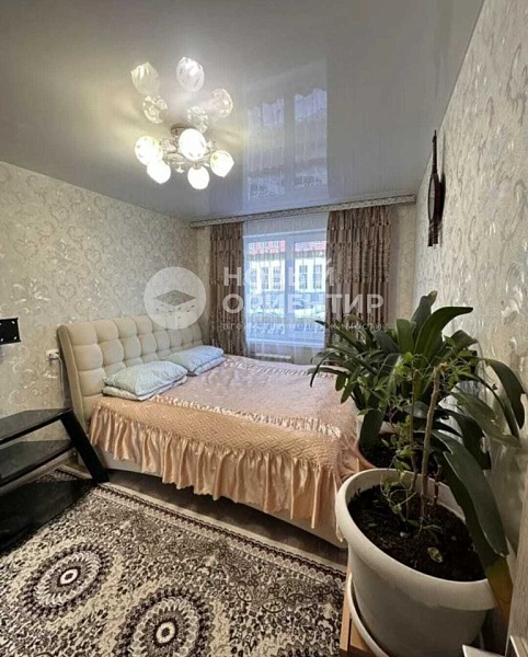 Объявление 221-11786